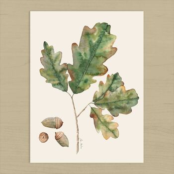 Impression d'art de feuilles de chêne - 30 cm (l) x 40 cm (h) 2