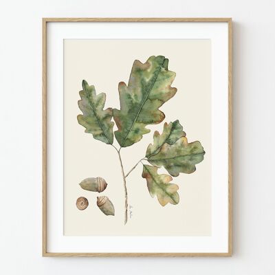 Stampa artistica con foglie di quercia - 21 cm (larghezza) x 30 cm (altezza)