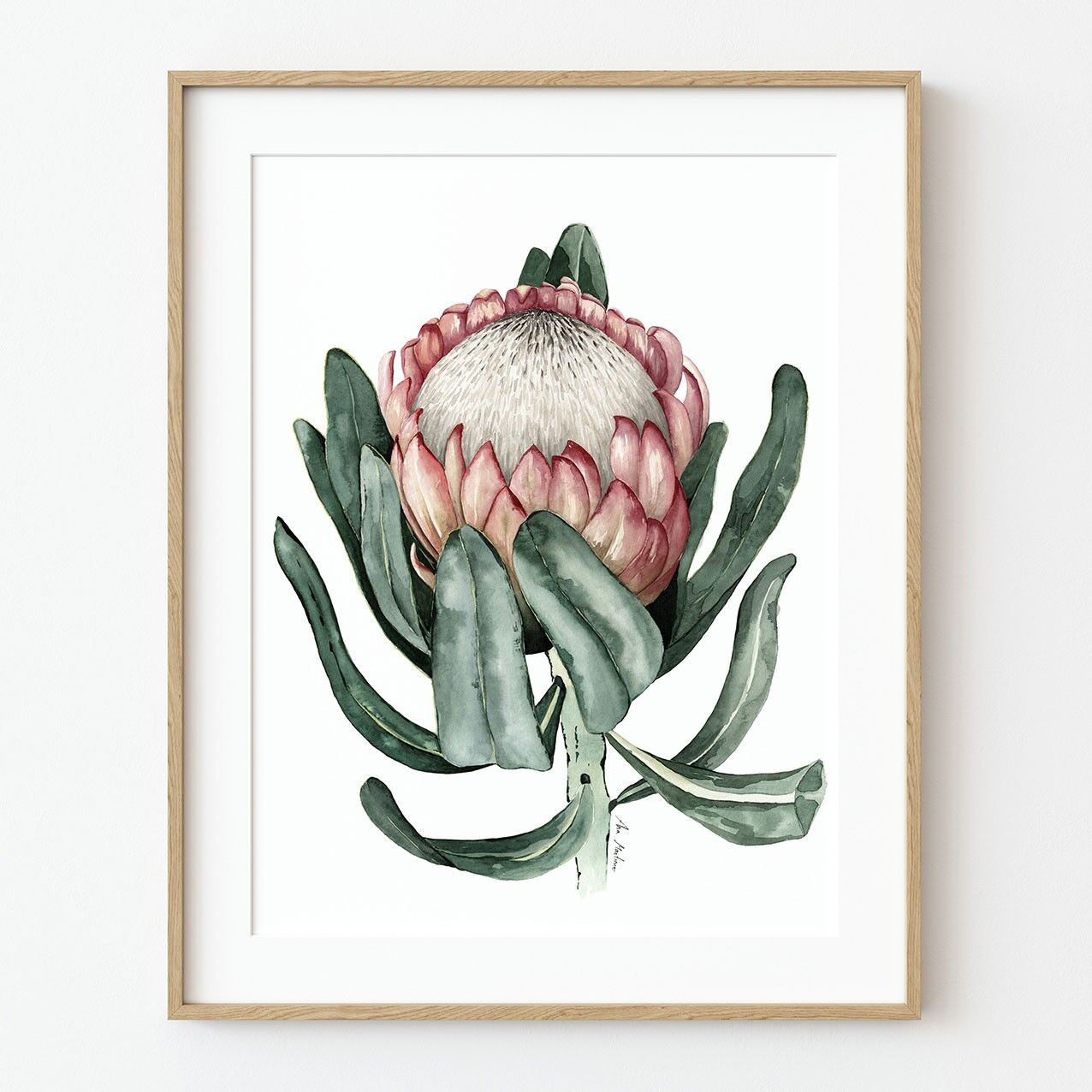 Lámina Artística "Flor de Prothea"