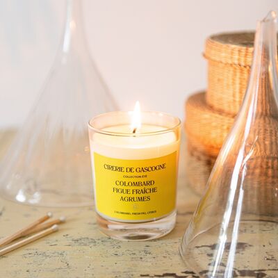 Colombard scented candle - Fresh Fig - Citrus