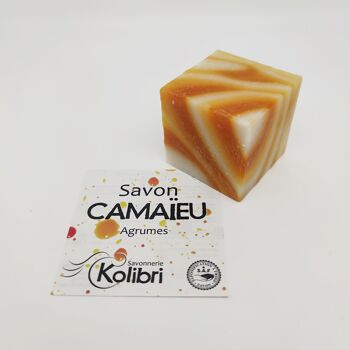 Savon CAMAÏEU - Agrumes 5