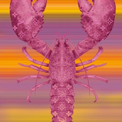 Lobster Schilderijen - 60x90 - Roze/oranje