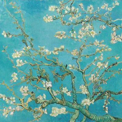 Vincent van Gogh - Amandelbloesem - Plexiglas schilderij - 60x60