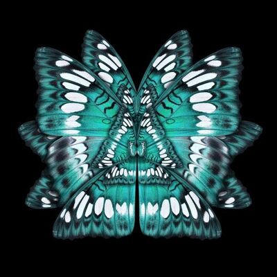 Butterfly Mirror fantasy - Plexiglas Schilderij - 60x60