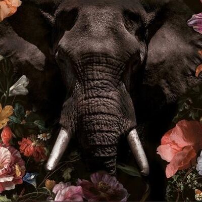 Flower Elephant - Plexiglas schilderij - 60x90