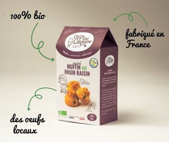 Mini Muffins rhum raisin bio 3