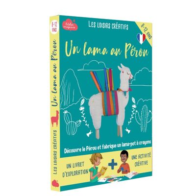 Caja de fabricación de portalápices Lama para niños + 1 libro - kit de bricolaje/actividad infantil en francés