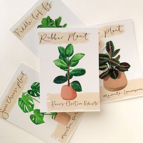 Rubber Plant Postcard