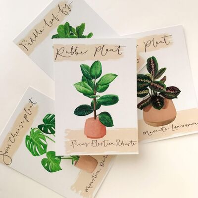 Gummipflanzen-Postkarte