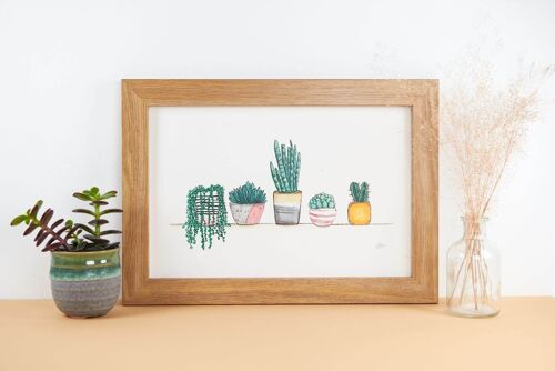 House Plants & Succulents Art Print