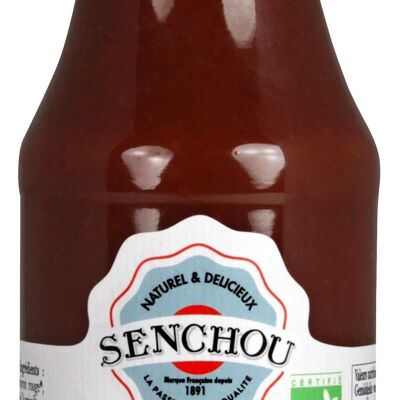 Ketchup di Pomodoro Puro Biologico (vetro)