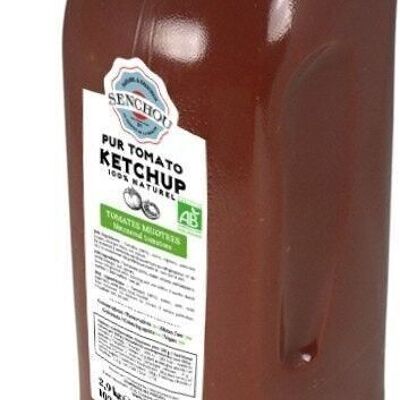 Pur Ketchup Tomate BIO (pot PP 2,9kg)