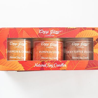 Trío de velas de soja regulares de Halloween
Especias de calabaza, canela y