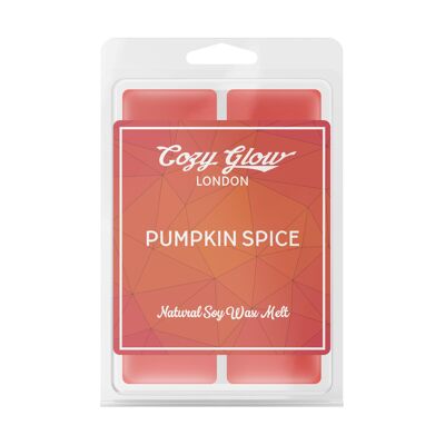 Pumpkin Spice Soy Wax Melt