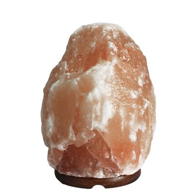 Himalayan Salt Lamp 3 - 5 kg