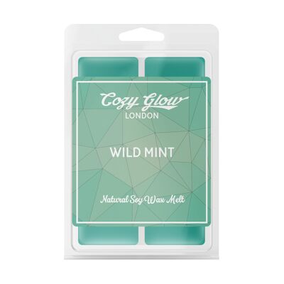 Wild Mint Sojawachs Melt