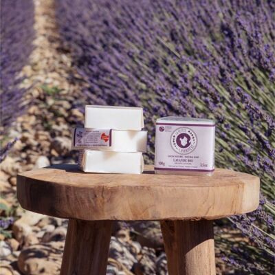 Organic Lavender Soap Cube
//
Natural Lavender Organic Soap