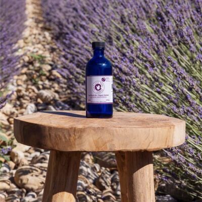 Organic lavender angustifolia floral water