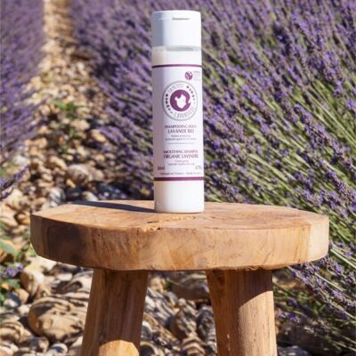Shampoo alla lavanda biologico