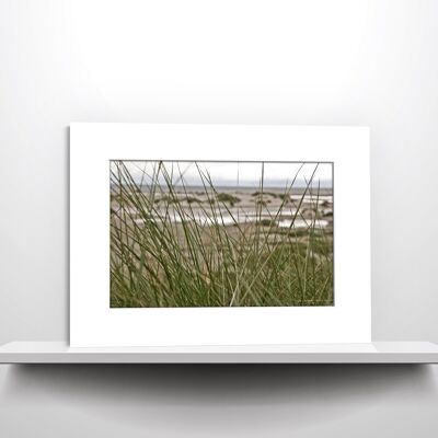 Amrumer Strandgrass | Fotografie im Passepartout für 40 x 30 cm Rahmen