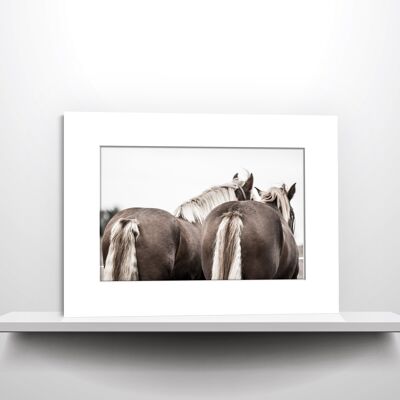 Pferdehintern | Fotografie im Passepartout für 40 x 30 cm Rahmen