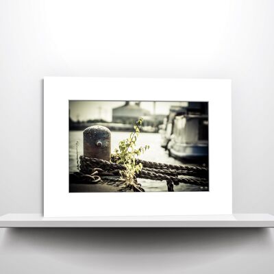 Hamburger Poller | Fotografie im Passepartout für 40 x 30 cm Rahmen