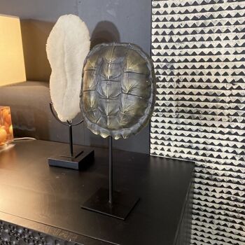 Carapace de tortue noire
  sur socle 20x10x40cm
 turtle 3