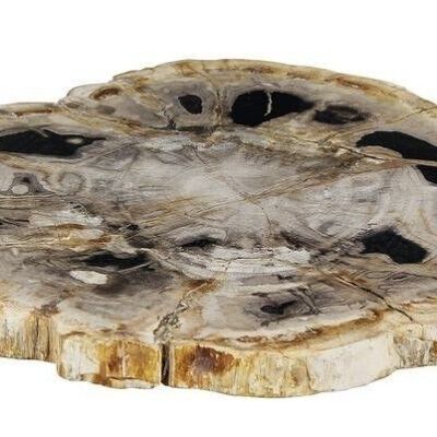 PRESENTATION BOARD
 IN RANGED PETRIFIED WOOD
 30X34X2CM PALU