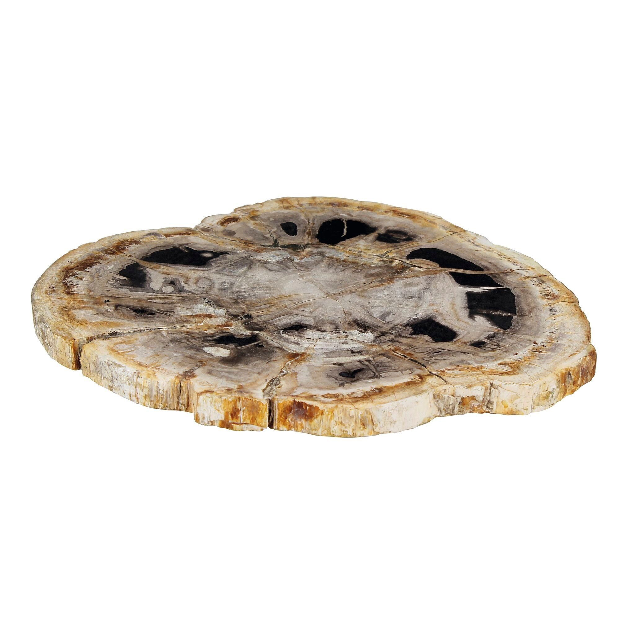 TABLERO DE PRESENTACIÓN
 EN MADERA PETRIFICADA A DISTANCIA
 PALU DE 30X34X2CM