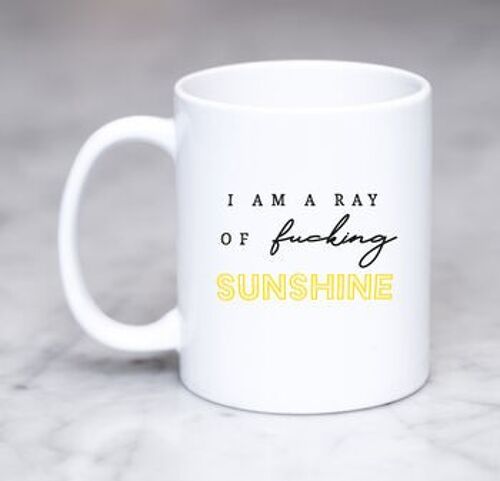 I Am A Ray Of Fucking Sunshine Mug