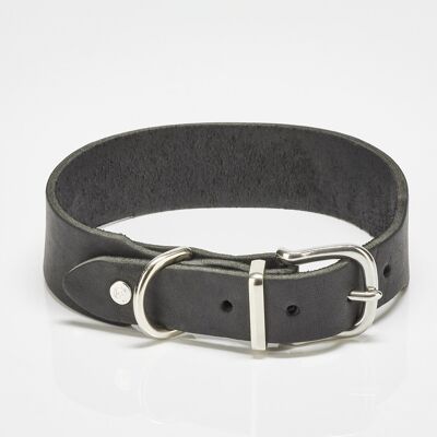 GIRO Pet Collar (SKU: 5003-005)