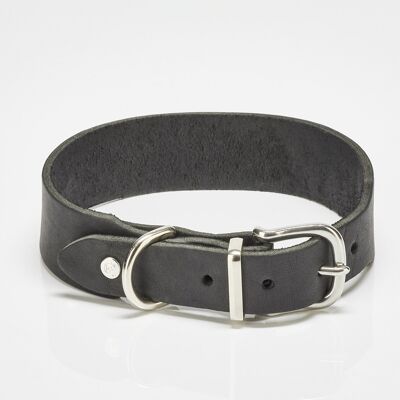 GIRO Pet Collar (SKU: 5004-005)