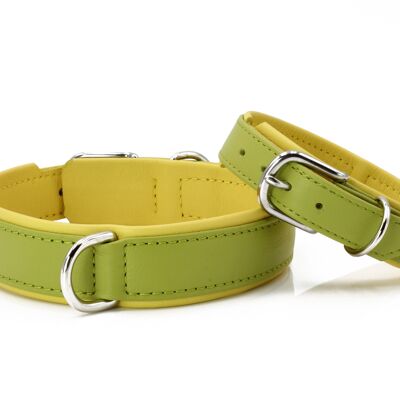 AMICI Pet Collar (SKU: 5006-006)