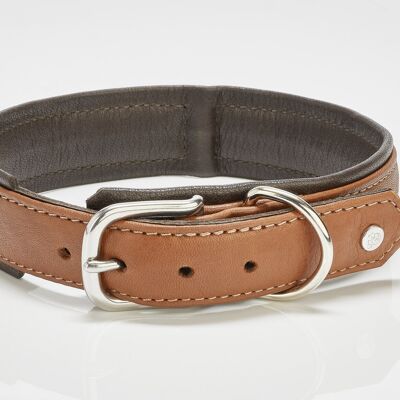 AMICI Pet Collar (SKU: 5013-100)