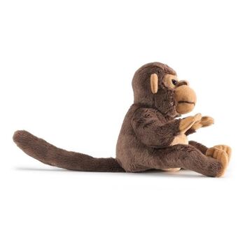 Mini singe (3) - parfaitement de la taille d'une paume et tout simplement adorable | Marionnette 2738 2