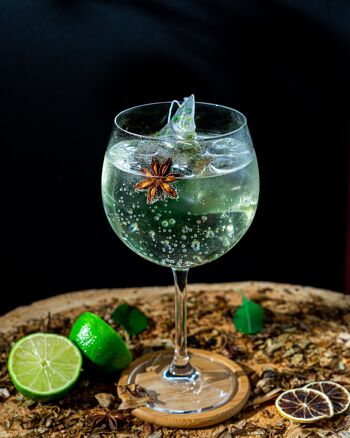 Pochette de 6 cocktails à infuser, citron vert, verveine, anis 4