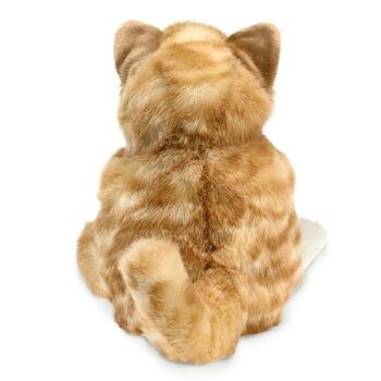 Chaton tabby orange - Bras et jambes mobiles | Marionnette 2845 2