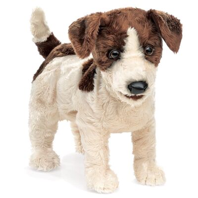 Jack Russell Terrier / Jack Russell Terrier| Hand puppet 2848