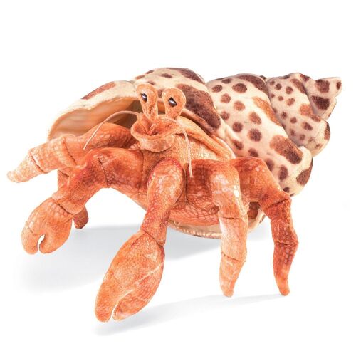 Hermit crab 2867