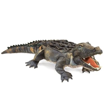 Alligator américain 2921