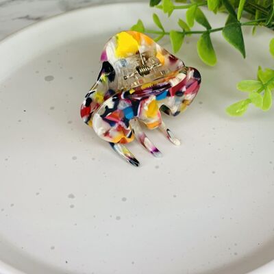 Autumn - Small Resin Claw Clips - Brights