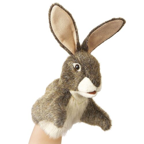 Little hare 2931