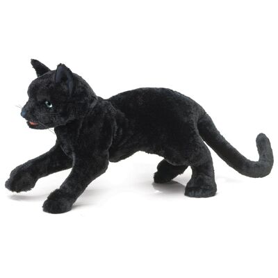 Schwarze Katze / Black Cat 2987