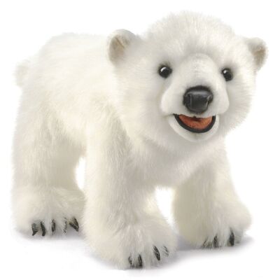 Cachorro de oso polar 3041