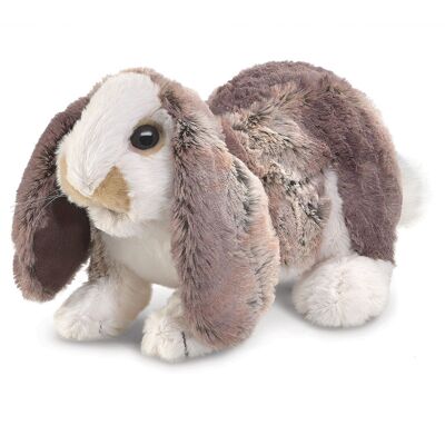 BABY LOP RABBIT / coniglietto dalle orecchie pendenti 3048