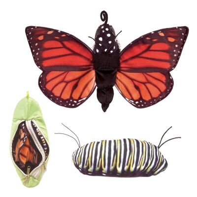 MONARCH LIFE CYCLE / Metamorphosis Butterfly 3073