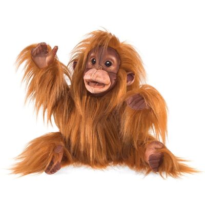 BABY ORANGUTAN 3106/ Baby Orangutan