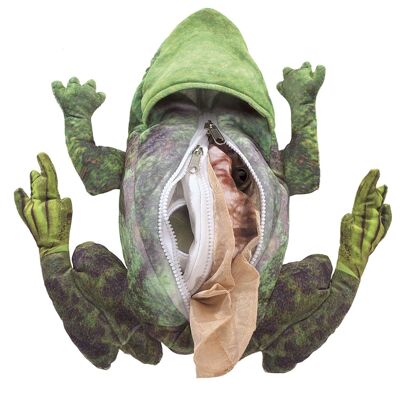 FROG LIFE CYCLE / Metamorphosis frog 3115
