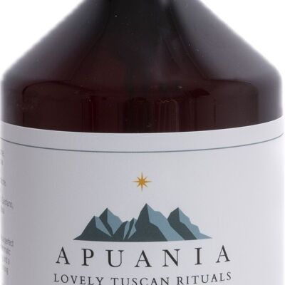 APUANIA - CLEANSE - Anti- Bacterial Hand Wash