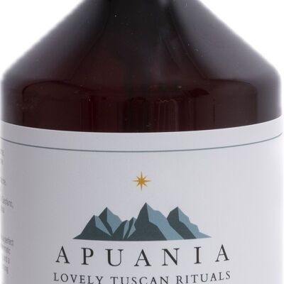 APUANIA - CLEANSE - Lavage antibactérien pour les mains